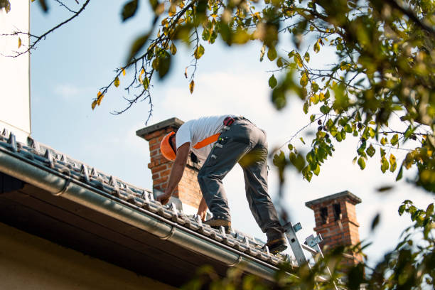 Best Roof Waterproofing Services  in Tn Lakes, WI